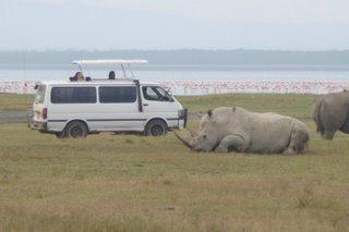  Game Viewing At Lake Nakuru .