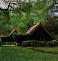Samburu Intrepid Camp.